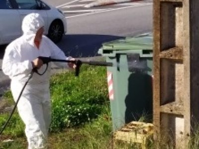 Unha empresa especializada fumiga o entorno de Acuña para erradir a praga de pulgas
