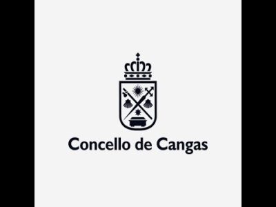 Os berros fóra de micro do portavoz do PSdeG de Cangas no pleno deixan estupefacta á corporación
