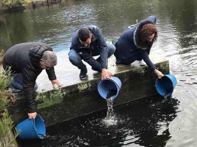 6.000 troitas para repoboar o Lago de Castiñeiras