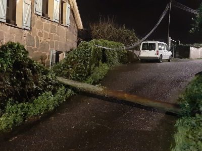 Cae un árbore na autovía do Morrazo e esborrállase un póste de telefónica sobre o valado dunha vivenda en Pinténs