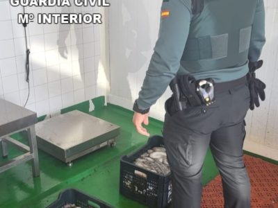 Intervenidos en un control de carretera 68 kg de pulpo capturados en una zona prohibida de Vilariño