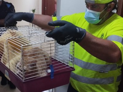 O PP acusa ao goberno local de incumplir a Lei de Benestar Animal