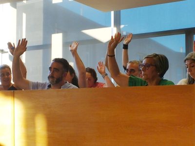 BNG comprométese con AV a levar a pleno un documento que permita a Victoria Portas ter representación en comisións e xuntas de portavoces