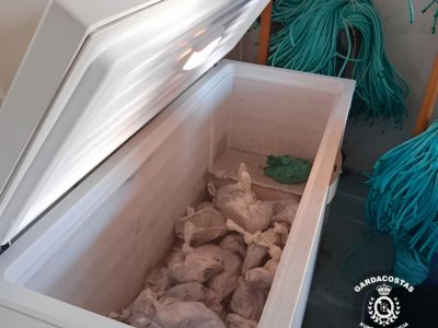 Decomisan no porto de Bueu 80 quilos de polbo conxelado con talla menor á permitida