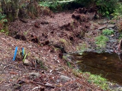 As tres asociacións de veciños de Aldán, indignadas co goberno local: «¿Cómo poden dicir que a senda está rematada?»
