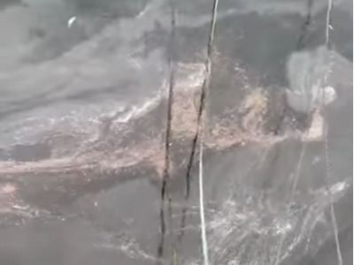 O PP esixe ao  tripartito de Cangas que cumpra o acordo plenario e abra expediente á empresa concesionaria polas últimas verteduras