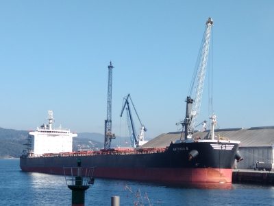 El Puerto de Marín tendrá una planta de procesado de descartes