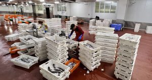 El Igape ha respaldado 96 proyectos empresariales con 74 millones en ayudas desde 2024