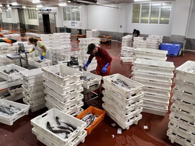 El Puerto de Marín saca a licitación mejoras en las instalaciones de la lonja pesquera