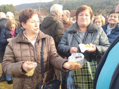 As uvas adelántanse no Morrazo