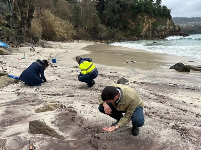 Chegan os primeiros pellets ás praias de Marín