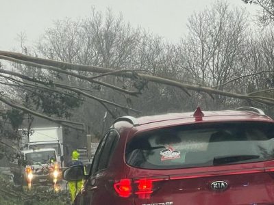 La caída de un árbol corta el tráfico en la carretera Moaña-Marín