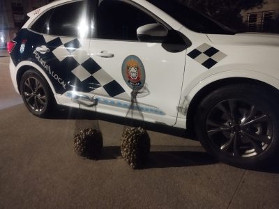 Pillados ‘in fraganti’ tres furtivos en la playa de A Xunqueira