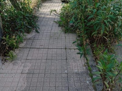 O PP denuncia co goberno de Cangas «manteén as parroquias en estado de abandono»