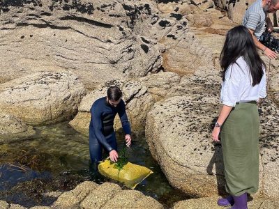 Una empresa familiar de Vigo criará algas comestibles en Cangas