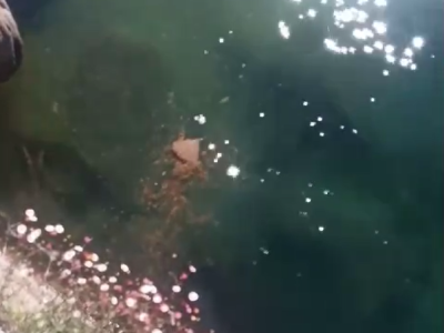 O PP de Cangas di que «o tripartito segue enchendo de merca a ría»