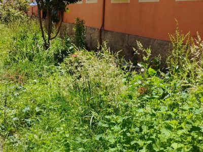 El PP urge al gobierno de Cangas a desbrozar las vías municipales