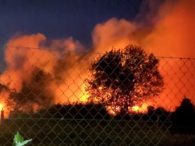 Evacuados de urgencia animales tras descontrolarse una hoguera en Moaña