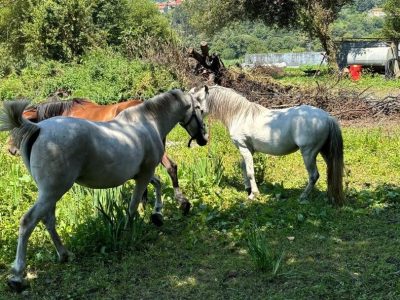 Una quema ‘camuflada’ como San Xoán pone en jaque a los vecinos