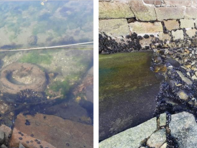 Adxudicada a actuación de recuperación medio ambiental da dársena portuaria