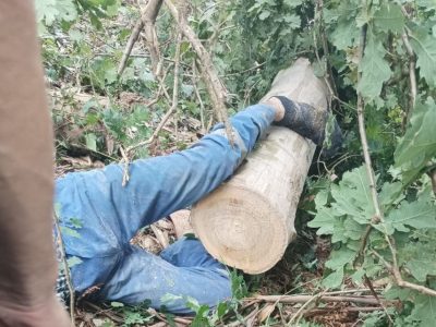 Herido de gravedad un maderero en Moaña al caerle un árbol encima