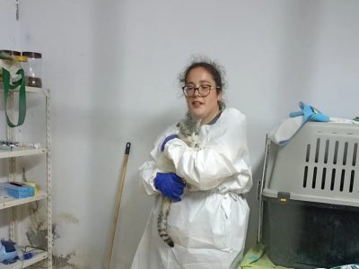 Colonias Canguesas acusa al Concello de Cangas de «maltrato animal»