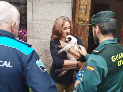Rescatan al gato abandonado de los ‘inquiokupas’ de Domaio