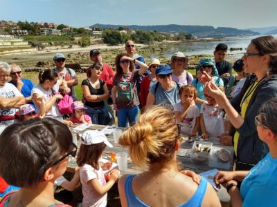 Rutas intermareales este fin de semana por Moaña