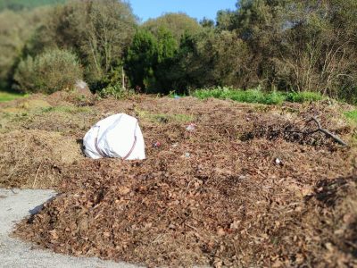 Toneladas de residuos vegetales se acumulan en el Estadio Municipal de Atletismo