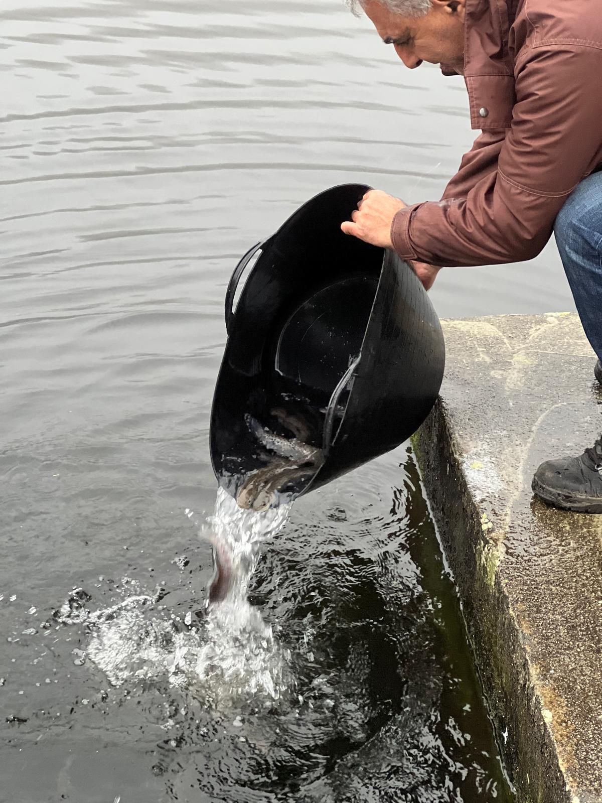 500 truchas para el Lago de Castiñeiras