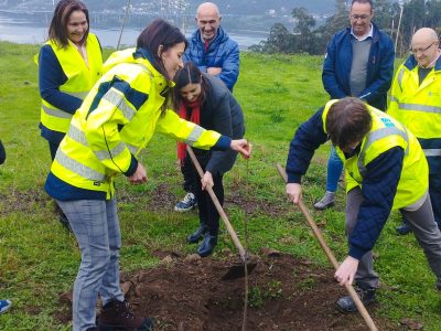 El cortafuegos natural avanza con 5.000 especies plantadas