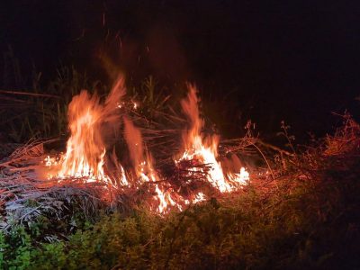 Incendio en una finca de Palmás, en Domaio