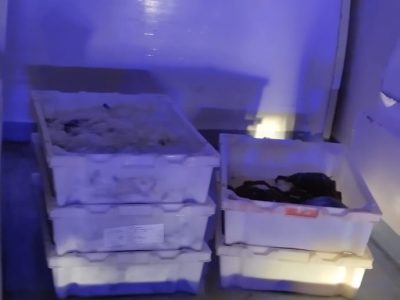 Entregan a Cáritas Moaña más de 50 kg de marisco incautado en Bueu
