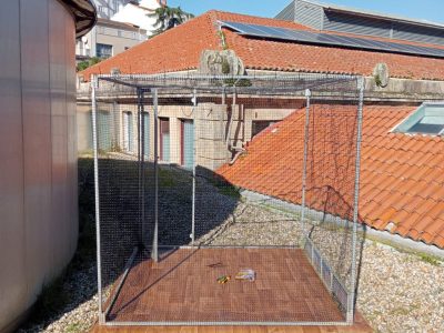 O Concello de Marín coloca unha nova gaiola no Multiusos da Praza para o control de pombas e gaivotas