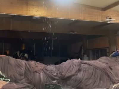 Llueve a cántaros dentro de la nave de redeiras de Cangas 