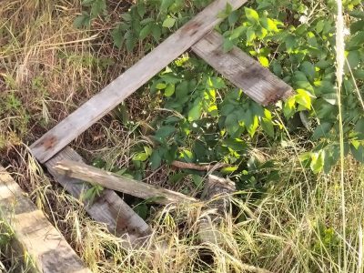 El PP ve un abandono «absoluto” de la playa de A Xunqueira