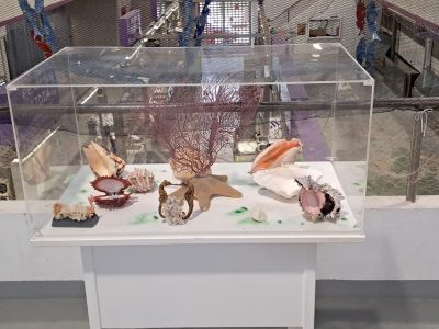 Devanceiros inaugura el lunes su exposición en el alto de la plaza de Cangas