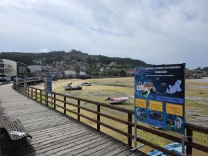 Los navalleiros culpan al Concello de la pérdida de categoría de la ría de Aldán