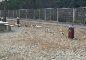 O PP: «En Moaña limpan con maquinaria as praias e o BNG de Cangas pón escusas ambientais para non traballar»