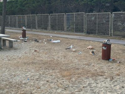 O PP: «En Moaña limpan con maquinaria as praias e o BNG de Cangas pón escusas ambientais para non traballar»