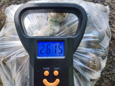Cazado un octogenario moañés robando marisco en una playa de Tirán