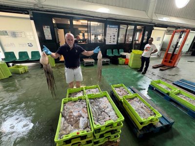 La campaña del pulpo en Cangas y Bueu da oxígeno al sector y triplica la facturación