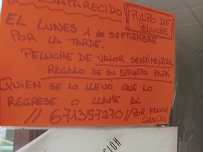 Un niño de 5 años busca el pulpo que le regaló su padre fallecido