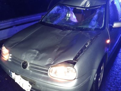 Un coche se empotra con un caballo en la carretera entre Moaña y Marín