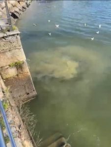 Cangas paga a la UTE 14.900 euros por una auditoría gratuita