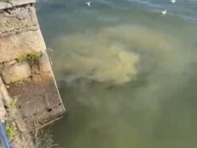 Cangas paga a la UTE 14.900 euros por una auditoría gratuita