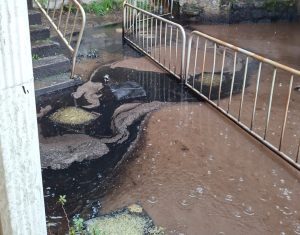 Gestido pide «tranquilidad» y la UTE asegura que el agua es apta para el consumo