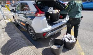 La Guardia Civil incauta 57 kilos de pulpo ilegal en Beluso