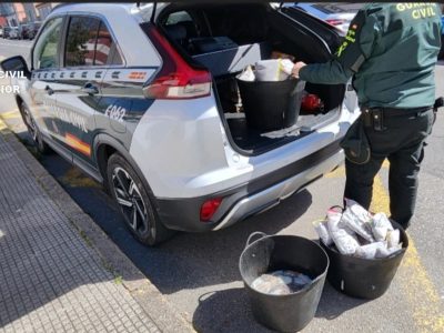 La Guardia Civil incauta 57 kilos de pulpo ilegal en Beluso