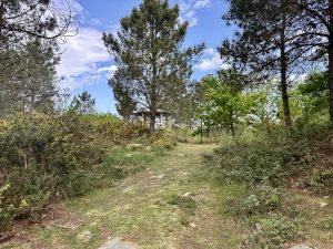 Un Parque da Natureza e novas rutas de cicloturismo: as dúas licitacións abertas para seguir poñendo en valor o Lago Castiñeiras